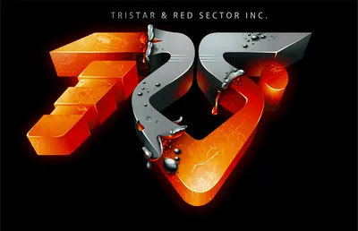 image of the Sticker graphic TRSI Revision 2013 Sticker